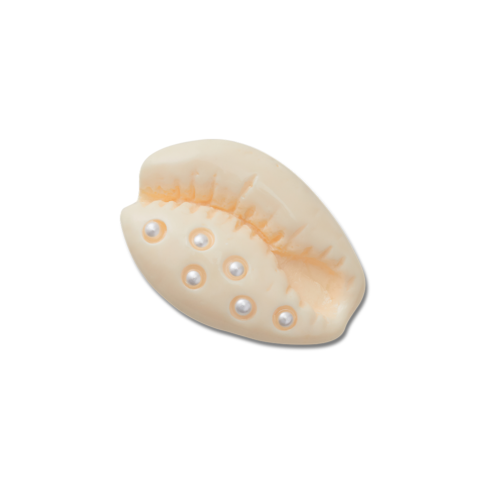 Jibbitz? Charm Pearl Puka Shell