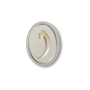 Jibbitz? Charm Silver And Gold Bone