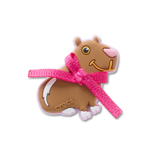 Jibbitz? Charm Coquette Capybara