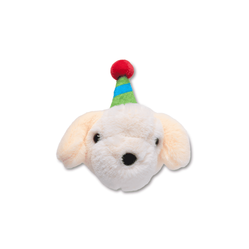 Jibbitz? Charm Record Your Own Sound Birthday