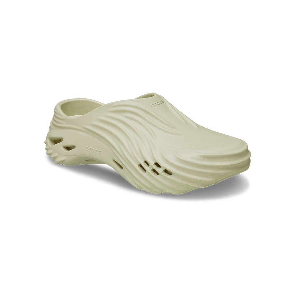 Echo Wave in Bone - Image 2