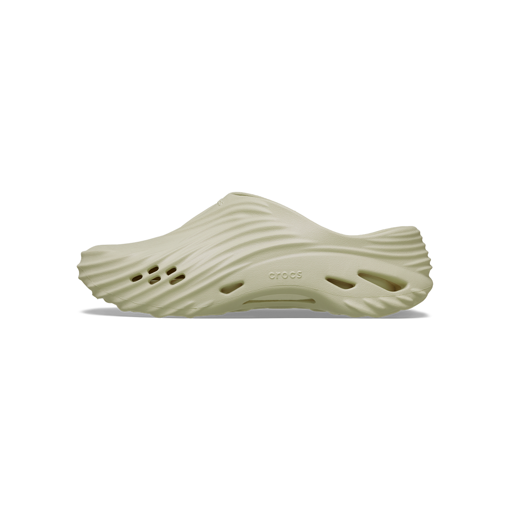 Echo Wave in Bone - Image 4
