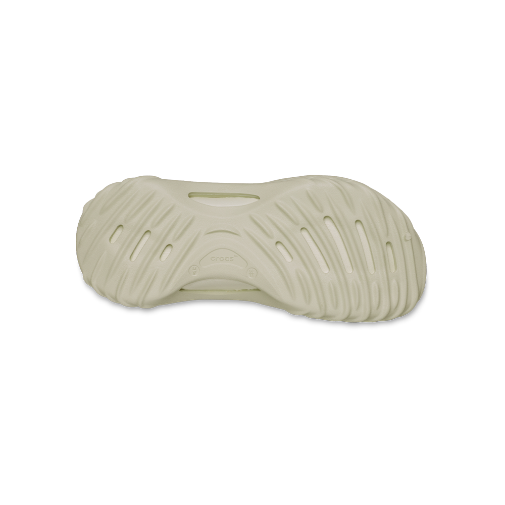 Echo Wave in Bone - Image 6