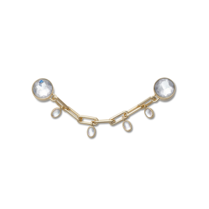 Jibbitz? Charm Delicate Gold and Gem Chain