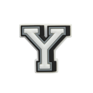 Jibbitz? Charm Letter Y