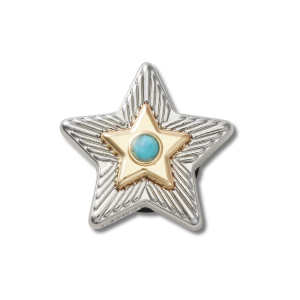 Jibbitz? Charm Silver Turquoise Star